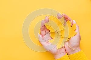 Autumn forest leisure fall yellow leaves hands