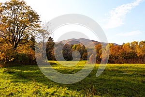 Autumn forest  and meadow nature. Vivid morning in colorful forest with field. Scenery of nature with sunlight