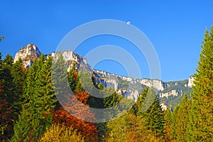 Autumn forest and mountain