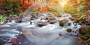 Autumn forest, mountain stream. Beautiful , rocks covered with moss. river rapids and waterfalls. Carpathian.