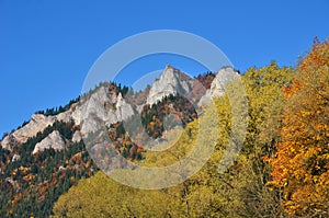 autumn in forest and mountain Three Crowns