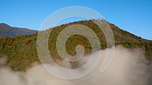 Autumn forest mountain top dawn fog drone view