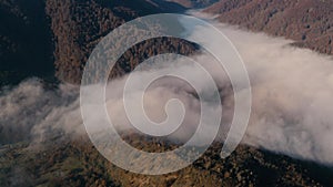 Autumn forest mountain top dawn fog drone view