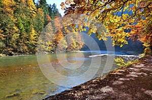 autumn in forest and mountains