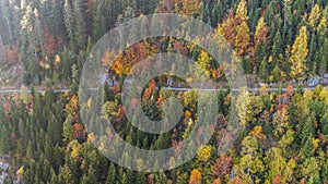 Autumn Forest Mountains Switzeland Aerial 4k