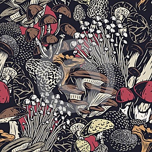 Autumn forest mushroom set and seamless pattern