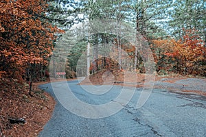 Autumn forest. Mystic charming enchanting landscape with a road in the autumn forest and fallen leaves on the sidewalk Colorful