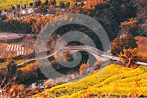 Autumn forest with old bridge