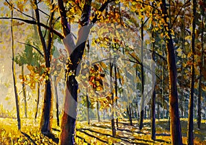 Autumn forest, orange leaves. trees with bright colorful leaves deep in autumn forest