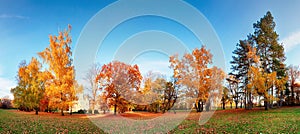 Autumn forest panorama in park