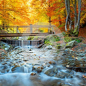 Autumn in forest park  - colorful trees, small wooden bridge and fast river with stones