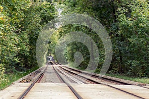 Autumn forest parks of Moscow, Russia. Tramway.