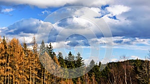 Autumn forest and picturesque sky in Carpathian Mountains in Poland