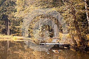 Autumn at forest pond