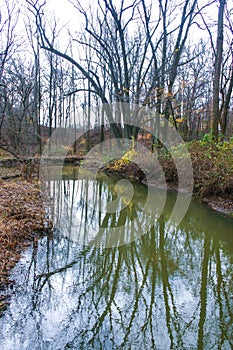 Autumn forest in a public park, old trees growing along a small river falling into the water, NJ