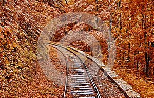 Autumn Forest Railroad