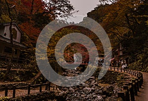 Autumn forest with red and yellow leaves with a cascade and river path