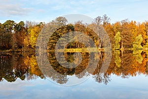 The autumn forest is reflected in the lake