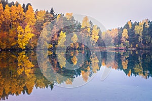 Autumn forest reflected on lake