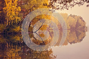 Autumn forest reflected on lake