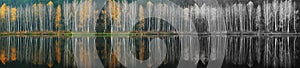 Autumn forest reflected in water. Colorful autumn morning