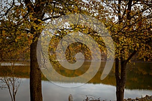 Autumn forest reflected in water. Colorful autumn morning in the mountains