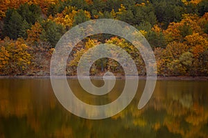 Autumn forest reflected in water. Colorful autumn morning in the mountains