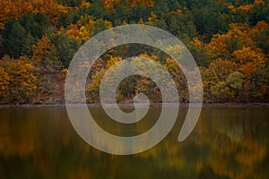 Autumn forest reflected in water. Colorful autumn morning in the mountains