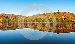 Autumn forest reflected in water. Colorful autumn morning in the mountains