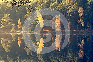 Autumn forest reflecting on lake