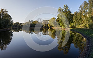 Autumn forest reflection in water