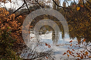 Autumn forest and river against the blue sky