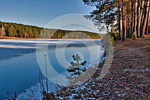 autumn forest on the river bank. frozen river in the winter forest. ice and snow on the river