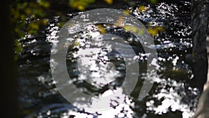 Autumn forest river flows, yellow leaves on the trees in the bokeh. Autumn season, golden autumn in forest.