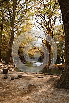 Autumn Forest River Scene photo