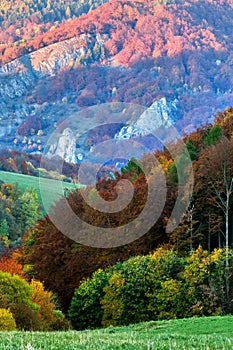 Jesenný les so skalou v pozadí. Farebné stromy. Horská krajina pri západe slnka.