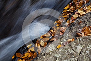 Autumn forest rocks creek