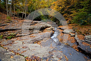 Autumn forest rocks creek in the woods