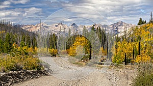 Autumn forest and Sawtooth mountains on a gravel road