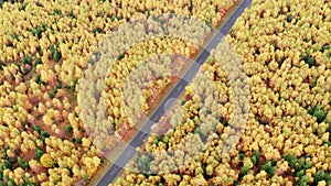 Autumn forest steeet with traffic from above 4k 30fps video