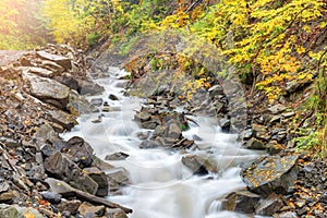 Autumn forest with streaming river