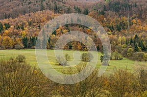 Podzimní lesní textury - ve slovenských horách