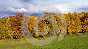 Autumn forest. Trees with yellow foliage in sunny weather, top view. Oaks and birches with colorful foliage.