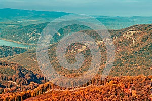 Autumn forest view in mountain, forest landscape