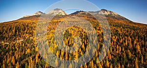 Autumn forest with yellow trees and mountains