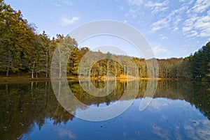 Autumn in the Foresta Umbra, Gargano, Italy photo