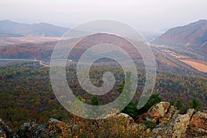 The autumn forests landscape