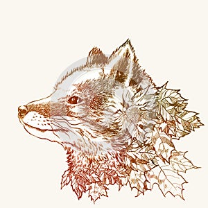 Autumn fox