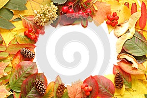 Autumn frame background