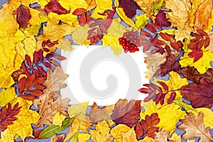 Autumn frame background. Blank white paper card surrounded by colorful leaves. Fall season flat lay composition